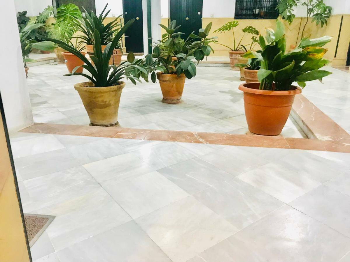 Los Patios De La Juderia Севилья Экстерьер фото